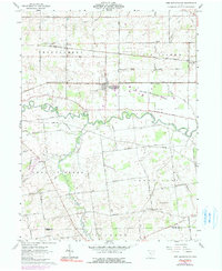 Download a high-resolution, GPS-compatible USGS topo map for New Bloomington, OH (1991 edition)