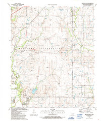 Download a high-resolution, GPS-compatible USGS topo map for Arbuckle Hill, OK (1991 edition)