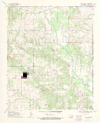 1969 Map of Boggy Depot, 1971 Print