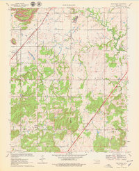 Download a high-resolution, GPS-compatible USGS topo map for Bushyhead, OK (1979 edition)