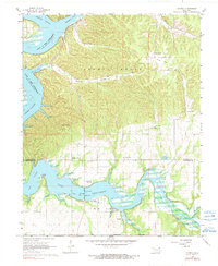 Download a high-resolution, GPS-compatible USGS topo map for Cayuga, OK (1991 edition)