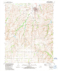 preview thumbnail of historical topo map of Cheyenne, OK in 1989