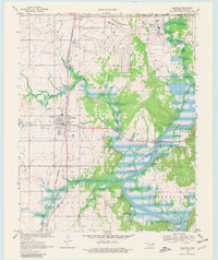 Download a high-resolution, GPS-compatible USGS topo map for Chouteau, OK (1981 edition)