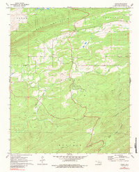 Download a high-resolution, GPS-compatible USGS topo map for Damon, OK (1984 edition)