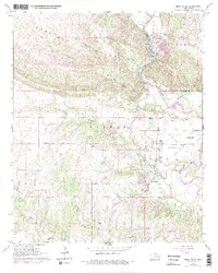 1964 Map of Gene Autry, 1978 Print