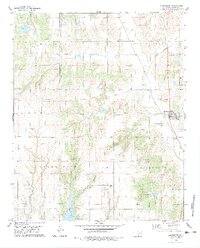 1979 Map of Gracemont