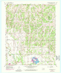 Download a high-resolution, GPS-compatible USGS topo map for Horseshoe Lake, OK (1989 edition)