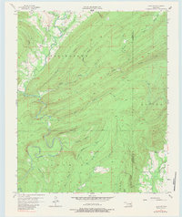 Download a high-resolution, GPS-compatible USGS topo map for Lane NE, OK (1983 edition)