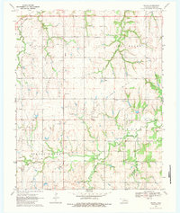 Download a high-resolution, GPS-compatible USGS topo map for Navina, OK (1983 edition)