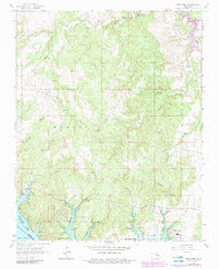 Download a high-resolution, GPS-compatible USGS topo map for New Prue, OK (1983 edition)
