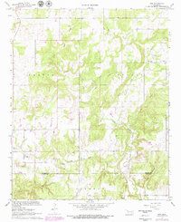 Download a high-resolution, GPS-compatible USGS topo map for Non, OK (1979 edition)
