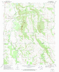 Download a high-resolution, GPS-compatible USGS topo map for Olney, OK (1971 edition)