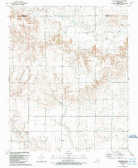 Download a high-resolution, GPS-compatible USGS topo map for Plainview, OK (1989 edition)