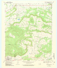 Download a high-resolution, GPS-compatible USGS topo map for Quinton North, OK (1982 edition)