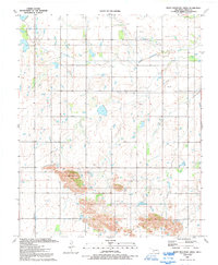 Download a high-resolution, GPS-compatible USGS topo map for Rainy Mountain Creek, OK (1992 edition)