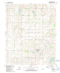 preview thumbnail of historical topo map of Reydon, OK in 1989