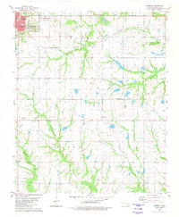 Download a high-resolution, GPS-compatible USGS topo map for Roberta, OK (1981 edition)