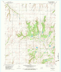 preview thumbnail of historical topo map of Caddo County, OK in 1979