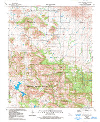 Download a high-resolution, GPS-compatible USGS topo map for Saddle Mountain, OK (1993 edition)
