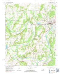 Download a high-resolution, GPS-compatible USGS topo map for Weleetka, OK (1991 edition)