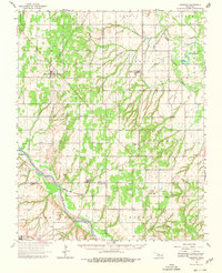 Download a high-resolution, GPS-compatible USGS topo map for Oakwood, OK (1980 edition)
