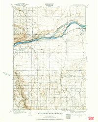 1906 Map of Blalock Island, 1962 Print