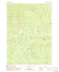 Download a high-resolution, GPS-compatible USGS topo map for Acker Rock, OR (1989 edition)
