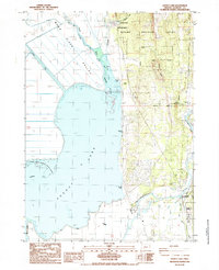 Download a high-resolution, GPS-compatible USGS topo map for Agency Lake, OR (1985 edition)