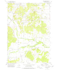 Download a high-resolution, GPS-compatible USGS topo map for Airlie North, OR (1977 edition)
