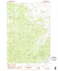 preview thumbnail of historical topo map of Benton County, OR in 1984