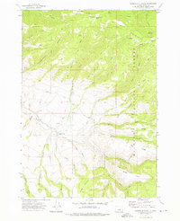 Download a high-resolution, GPS-compatible USGS topo map for Aldrich Mountain South, OR (1976 edition)
