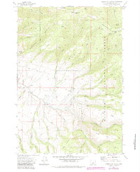 Download a high-resolution, GPS-compatible USGS topo map for Aldrich Mountain South, OR (1984 edition)