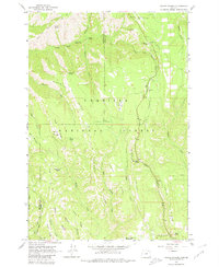 Download a high-resolution, GPS-compatible USGS topo map for Andies Prairie, OR (1980 edition)