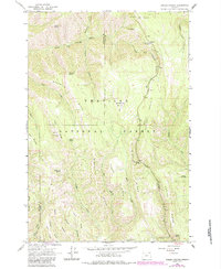 Download a high-resolution, GPS-compatible USGS topo map for Andies Prairie, OR (1984 edition)