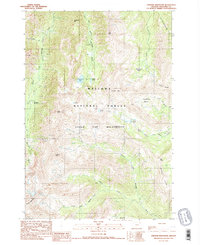 Download a high-resolution, GPS-compatible USGS topo map for Aneroid Mountain, OR (1990 edition)