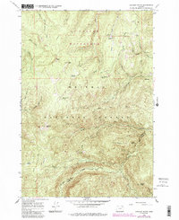 Download a high-resolution, GPS-compatible USGS topo map for Anthony Butte, OR (1985 edition)