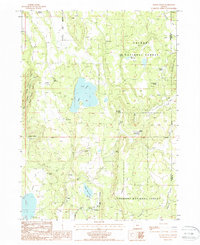 Download a high-resolution, GPS-compatible USGS topo map for Antler Point, OR (1988 edition)
