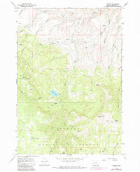 Download a high-resolution, GPS-compatible USGS topo map for Antone, OR (1985 edition)