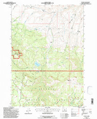 Download a high-resolution, GPS-compatible USGS topo map for Antone, OR (1997 edition)