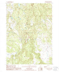 Download a high-resolution, GPS-compatible USGS topo map for Arkansas Flat, OR (1988 edition)