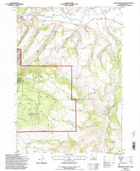 Download a high-resolution, GPS-compatible USGS topo map for Arrowwood Point, OR (1997 edition)