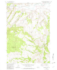 Download a high-resolution, GPS-compatible USGS topo map for Arrowwood Point, OR (1982 edition)