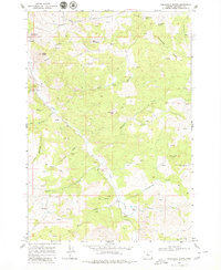 Download a high-resolution, GPS-compatible USGS topo map for Axehandle Butte, OR (1980 edition)
