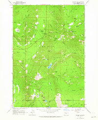 Download a high-resolution, GPS-compatible USGS topo map for Badger Lake, OR (1964 edition)