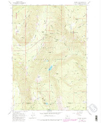 Download a high-resolution, GPS-compatible USGS topo map for Badger Lake, OR (1980 edition)