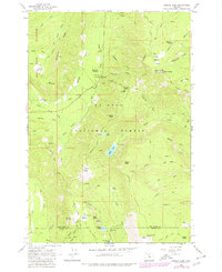 Download a high-resolution, GPS-compatible USGS topo map for Badger Lake, OR (1979 edition)