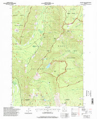 Download a high-resolution, GPS-compatible USGS topo map for Badger Lake, OR (1998 edition)