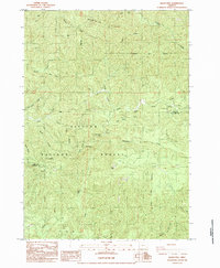 Download a high-resolution, GPS-compatible USGS topo map for Baldy Mtn, OR (1984 edition)