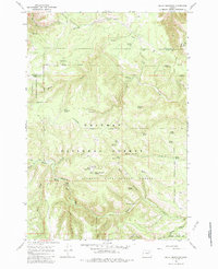 Download a high-resolution, GPS-compatible USGS topo map for Bally Mountain, OR (1983 edition)