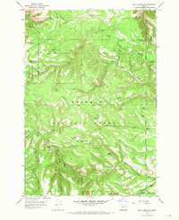 Download a high-resolution, GPS-compatible USGS topo map for Bally Mountain, OR (1969 edition)